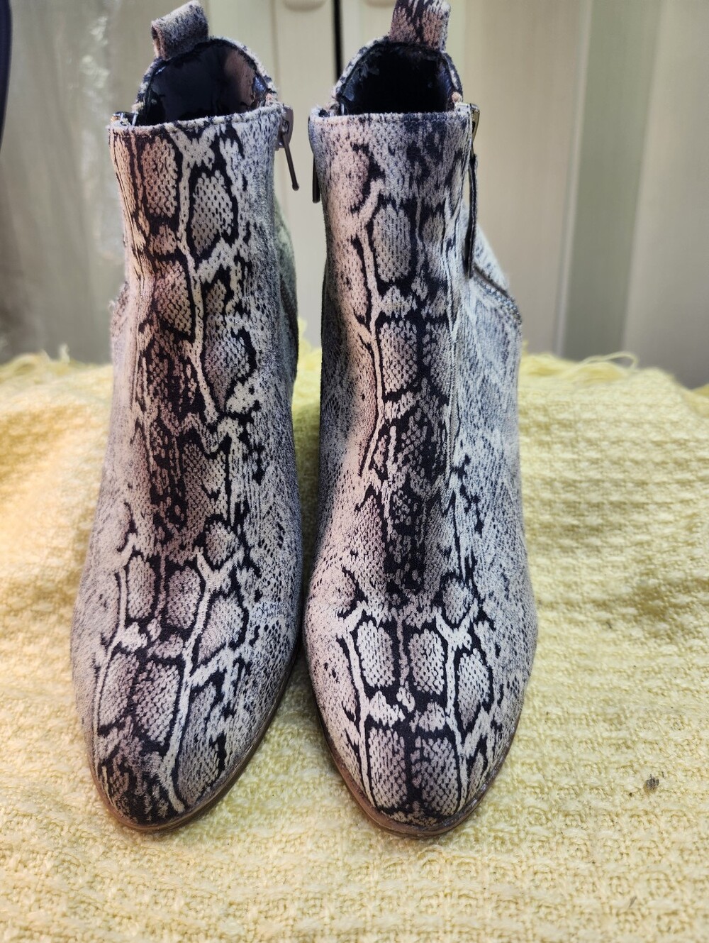 Women's Snake-Print Ankle Booties - Black & White